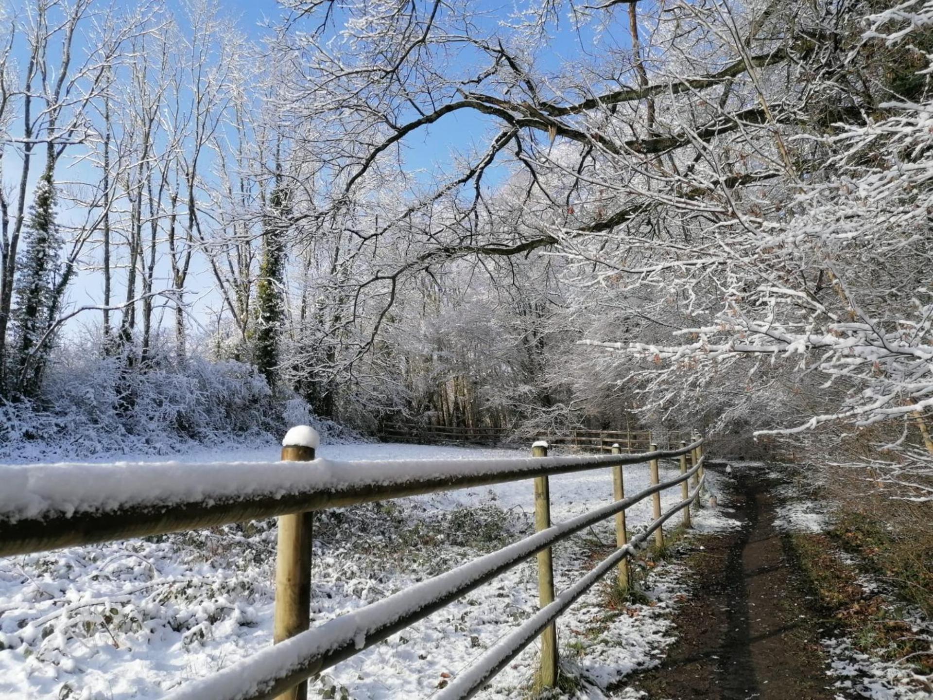 Les Hauts De Meez Dinant Dış mekan fotoğraf